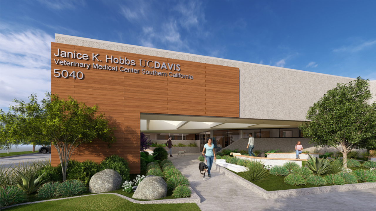 An illustration of the exterior of the clinic with people and pets outside.