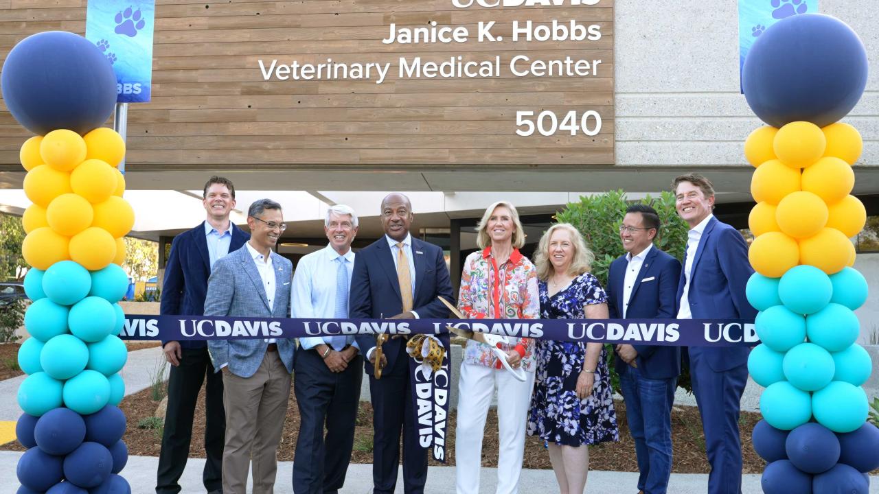 Group ribbon-cutting at UC Davis Veterinary Medical Center, blue and yellow balloon columns
