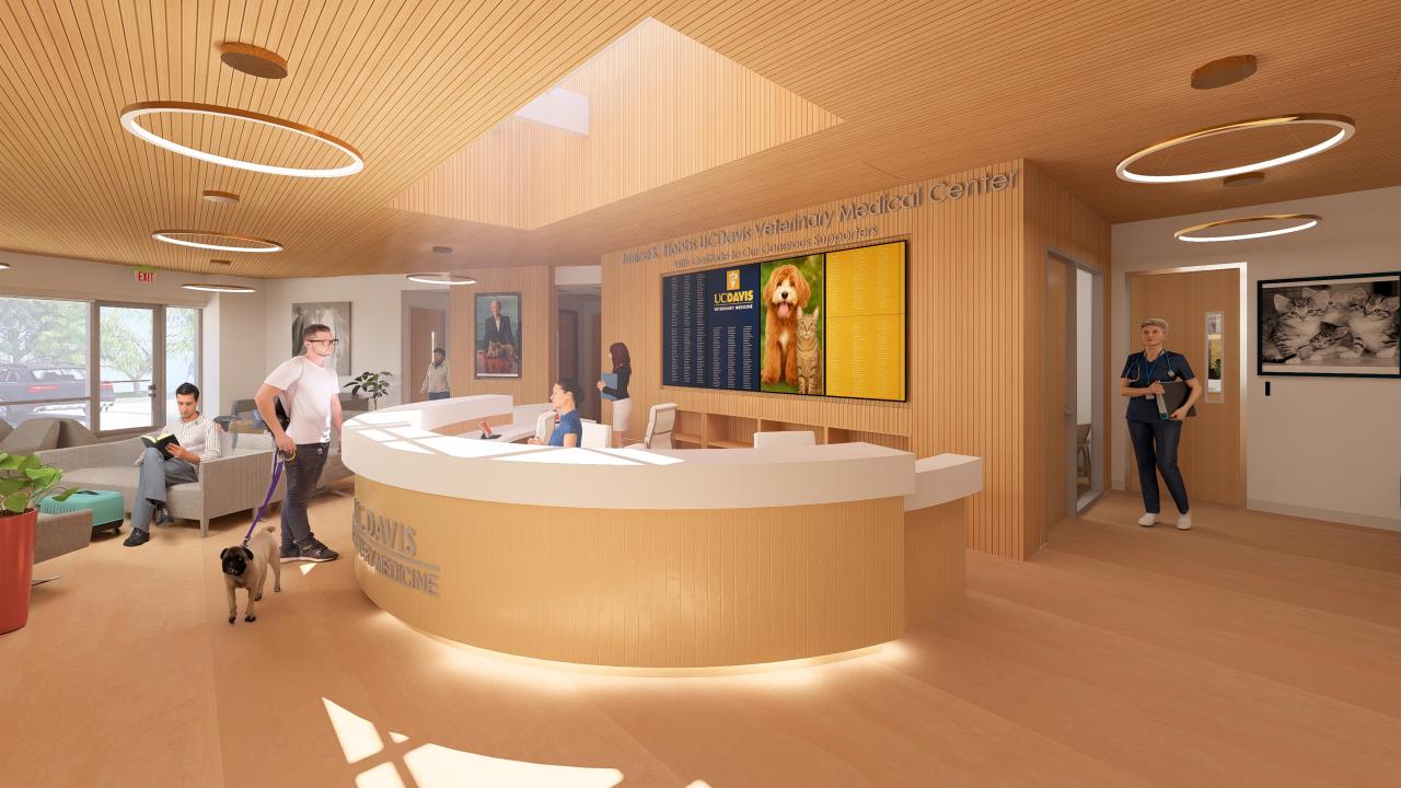 Room with warm coloring, people at a desk.