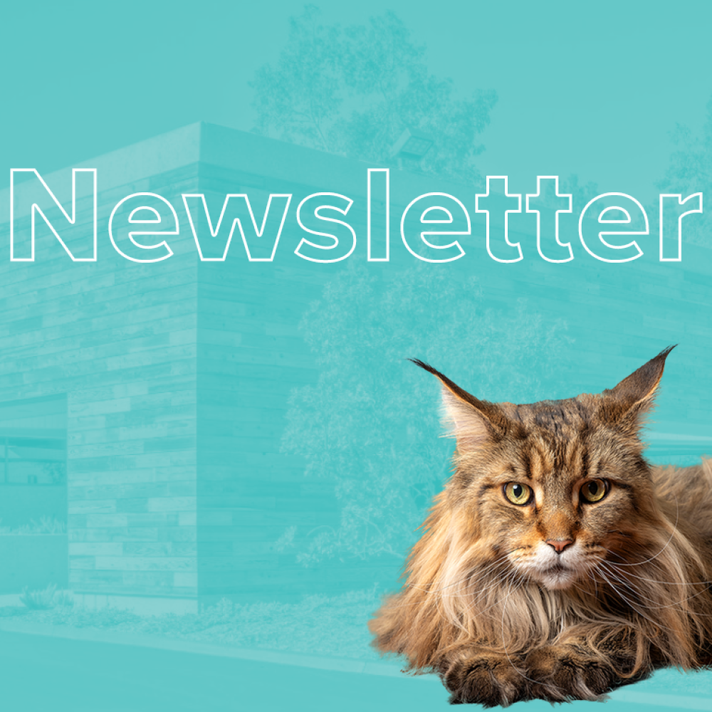 Hobbs Newsletter