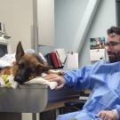 Veterinarian with German Shepard dog.